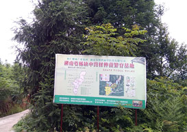 湖南省稀缺中药材种苗繁育基地